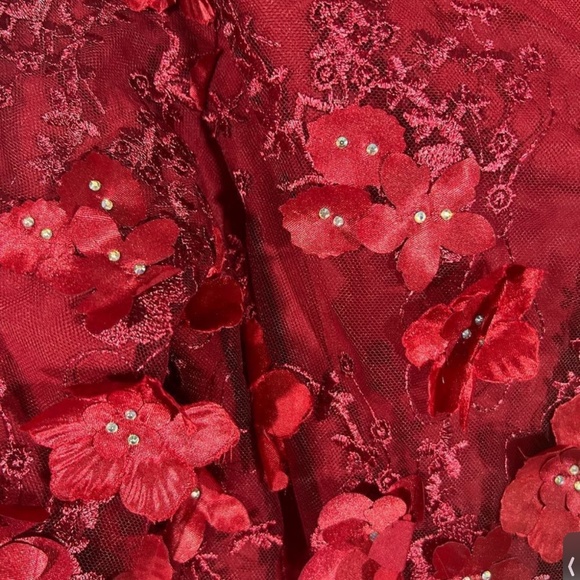 MESTIZA FLORAL MINI DRESS 3D PRINT IN DEEP RED NWT PERFECT FOR VALENTINE’S DAY! - Picture 4 of 6